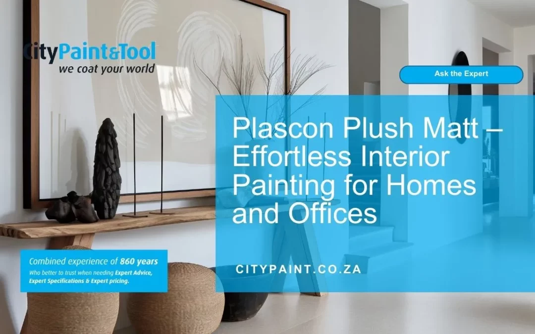Plascon Plush Matt Paint: Best Interior Wall Finish Guide