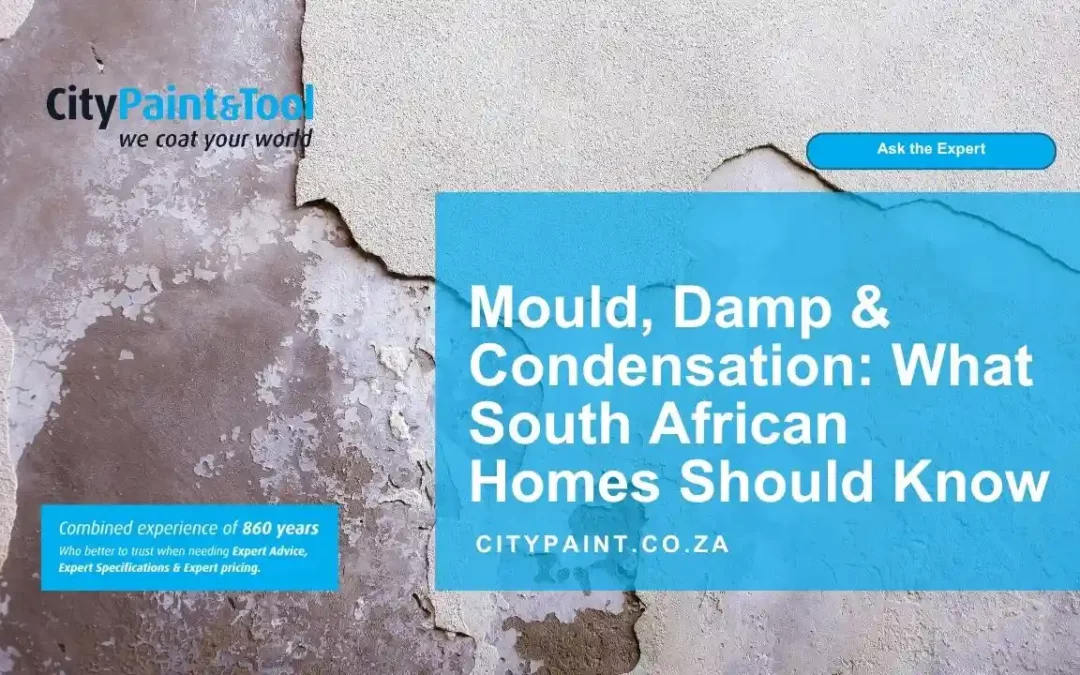 Mould, Damp and Condensation. What South African Homes Should Know