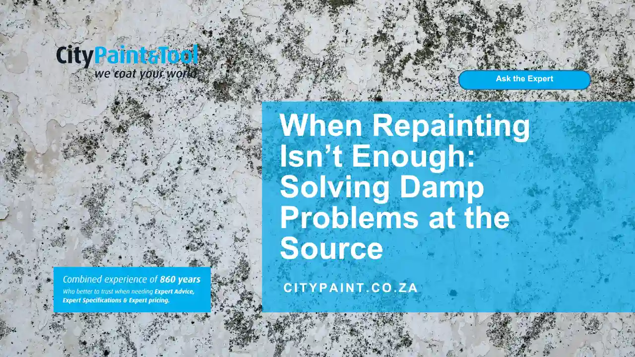 When Repainting Isn’t Enough Solving Damp Problems at the Source